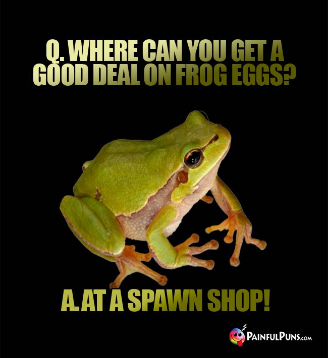 Q. Where can you get a good deal on frog eggs? A. At a spawn shop!