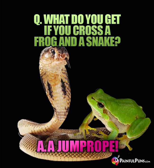 Q. What do you get if you cross a frog and a snake? A. A junprope!