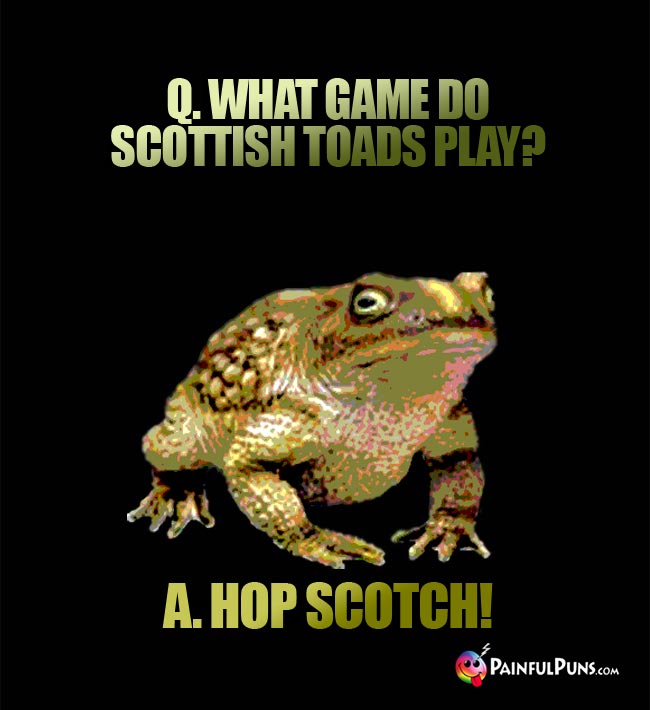 Q. What game do Scottish toads play? A. Hop Scotch!