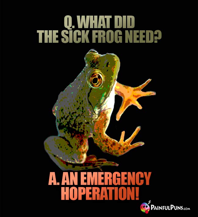 Q. What did the sick frog need? A. An emergency hoperation!