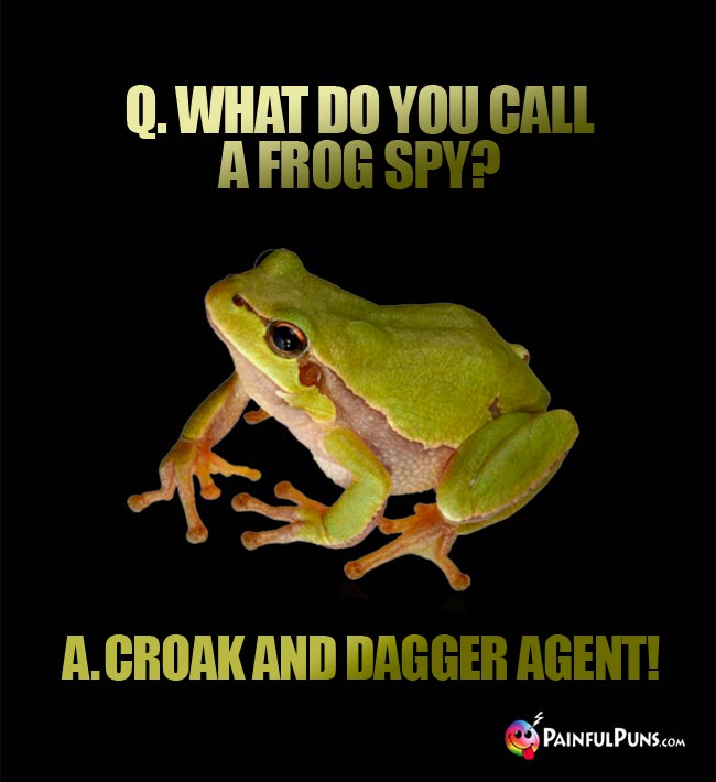 Q. What do you call a frog spy? A. Croak and dagger agent!