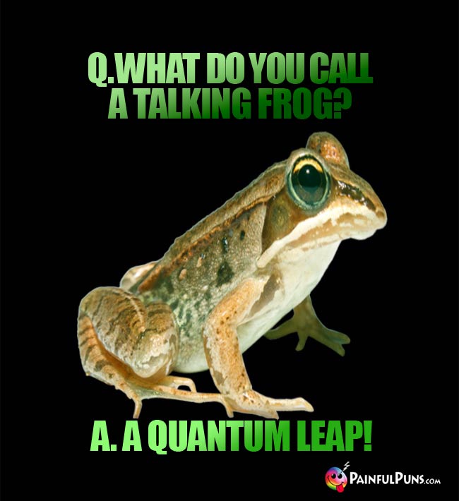 Q. What do you call a talking frog? A. A quantum leap!