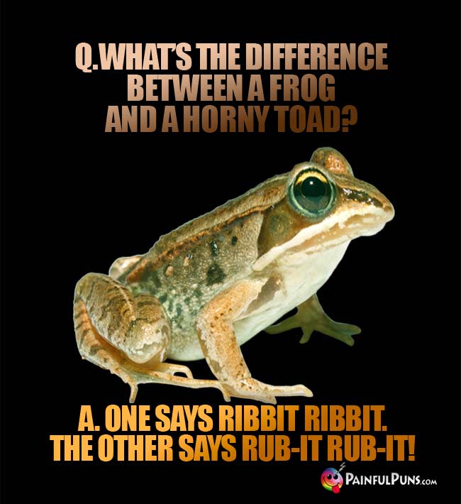Q. What's the difference between a frog and a horny toad? A. One says Ribbit Ribbit, and the other says Rub-It Rub-It!