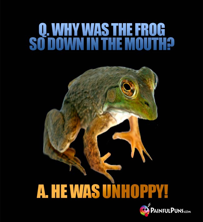 Q. Why was the frog so down in the mouth? A. He was unhoppy!