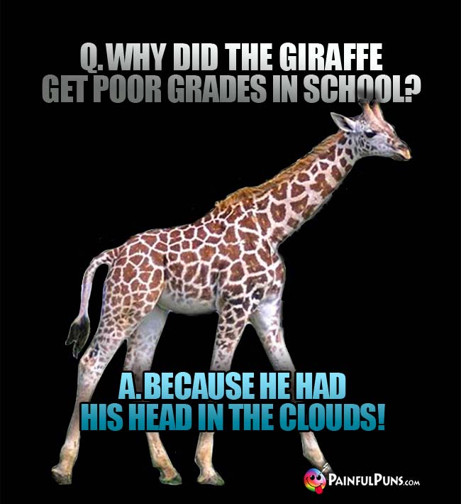 Q. Why did the giraffe get poor grades in school? A. because he had his head in the coulds!