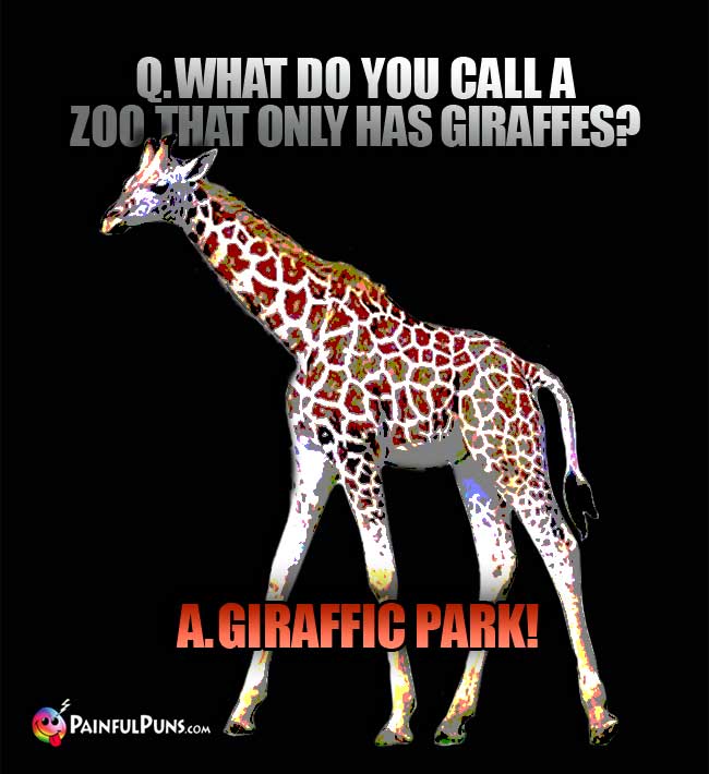 Q. What do you call a zoo that only has giraffes? A. Giraffic Park!