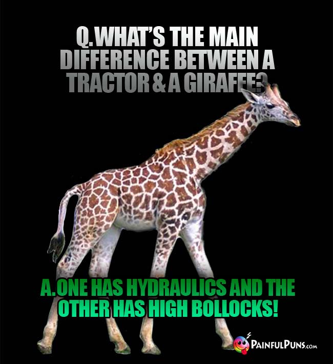 Q. What's the main difference between a tractor and a giraffe? a. One has hydrulics and the other has high bollocks!