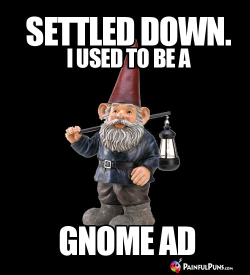 Settled Down. I used to be a Gnome Ad.