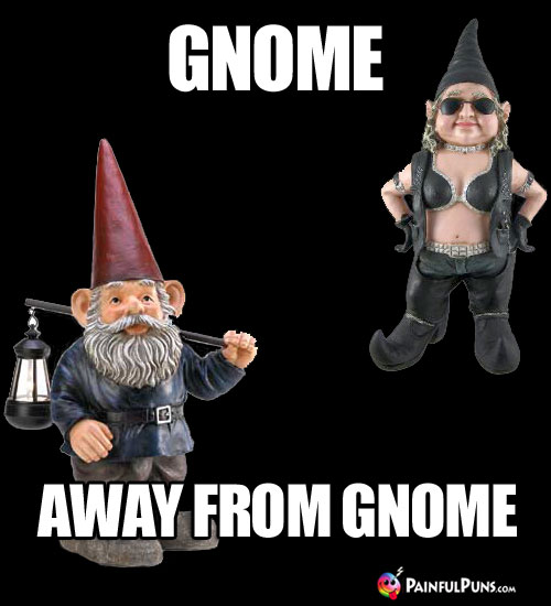 Gnome ... Away from Gnome