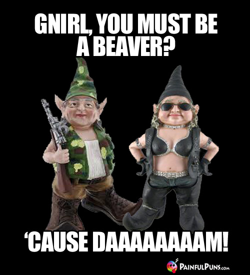 Gnirl, you must be a beaver? 'Cause Daaaaaaam!