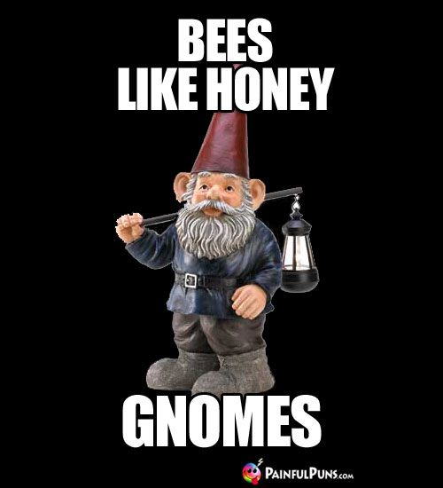 Bees Like Honey Gnomes