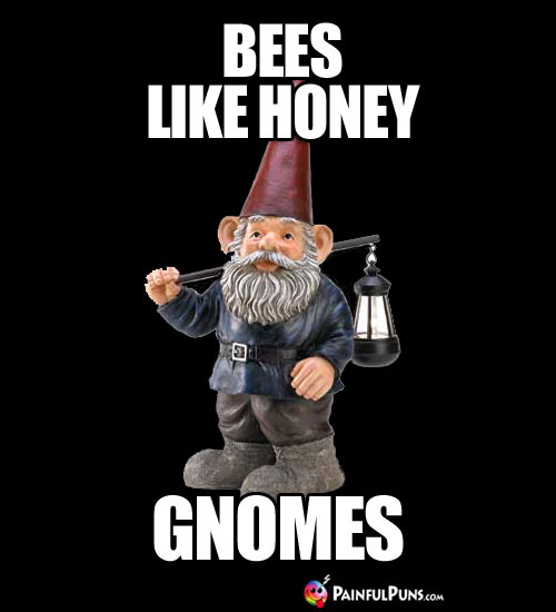 Bees Like Honey Gnomes