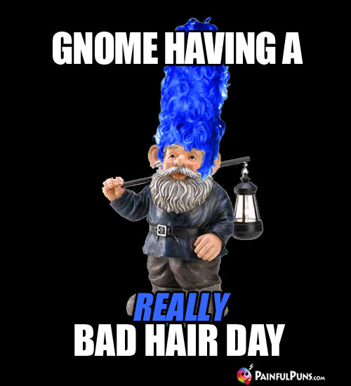 Gnome Having a REALLY bad hair day
