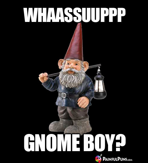 Whaassuuppp Gnome Boy?