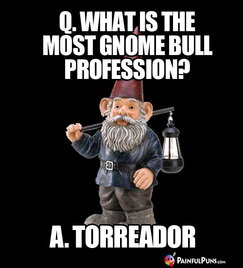 Q. What is the most gnome bull profession? A. Torreador