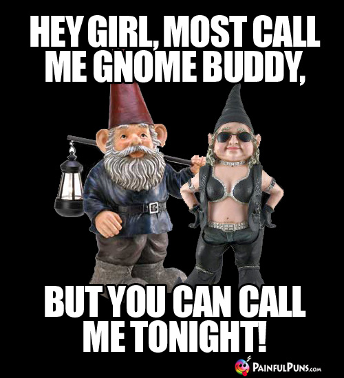 Hey Girl, most call me Gnome Buddy, but you can call me tonight!