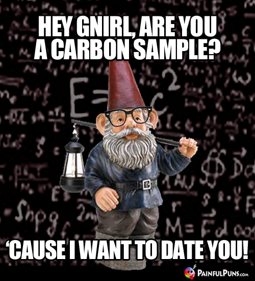 Hey Gnirl, are you a carbon sample? 'Cause I want to date you!