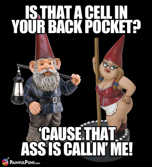 Is that a cell in your back pocket? 'Cause that ass is callin' me. 
