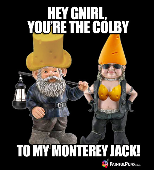 Cheesy Pick-Up Line: Hey Gnirl, You're the Colby to my Monterey Jack!