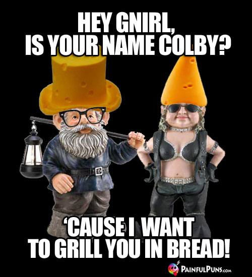 Cheesy Pick-Up Lines: Hey Gnirl, is your name Colby? 'Cause I want to grill you in bread!