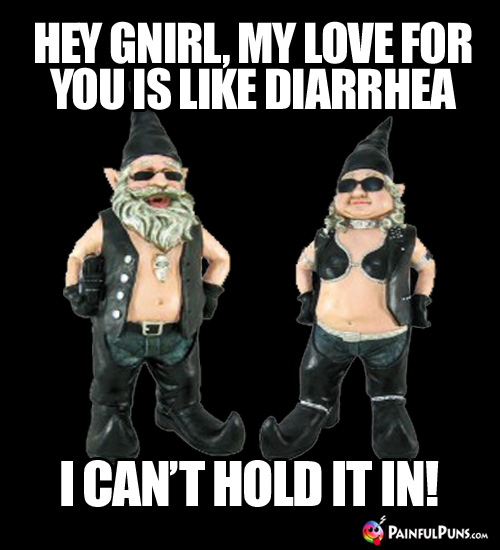 Crappy Gnome Humor: My love for you is like diarrhea, I can't hold it in!