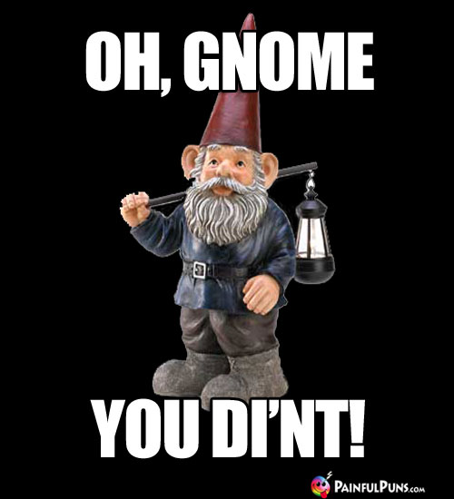 Oh, Gnome You Di'nt!