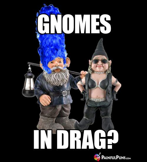 Gnomes in Drag?
