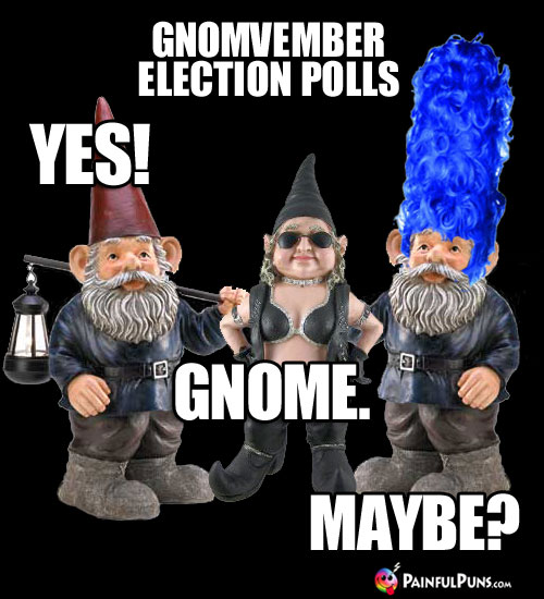 Gnovember Election Polls: Yes! Gnome. Maybe?
