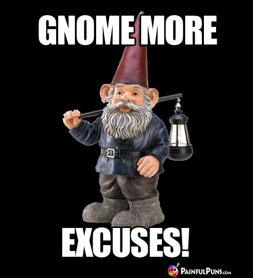 Gnome More Excuses