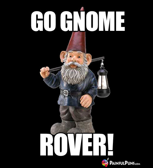 Go Gnome, Rover!