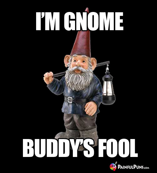 I'm Gnome Buddy's Fool
