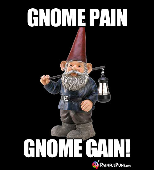 Workout Humor: Gnome Pain, Gnome Gain! 