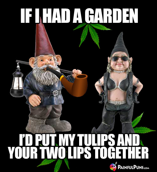 Pot Smoking Gnome Pick-Up Line: If I had a garden, I'd put my tulips and your two lips together.