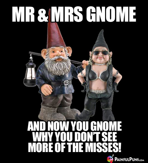 Mr & Mrs Gnome. And now you gnome why you don't see more of the misses!