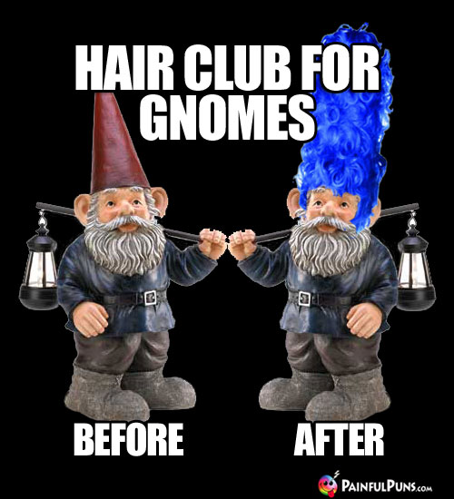 Hair club for gnomes: Before and After