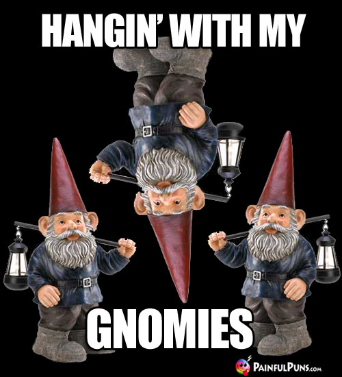Hangin' with My Gnomies