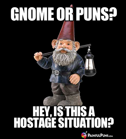 Gnome or Puns? Hey, is this is hostage situation?