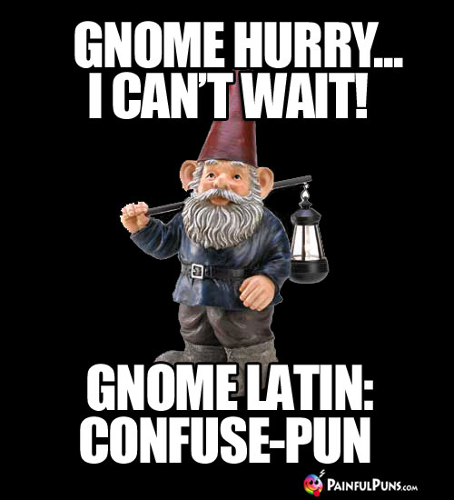 Gnome hurry... I can't wait! Gnome Latin: Confuse-Pun