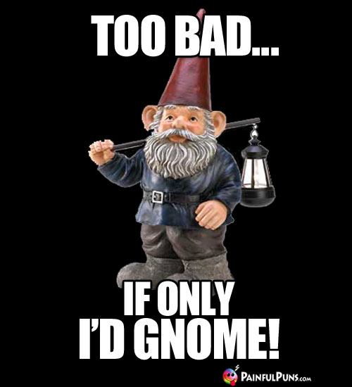 Too Bad... If only I'd Gnome!