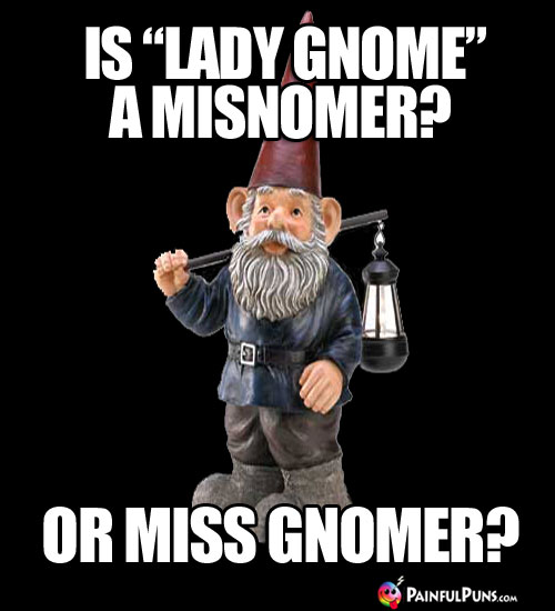 Is "Lady Gnome" a misnomer? Or Miss Gnomer?