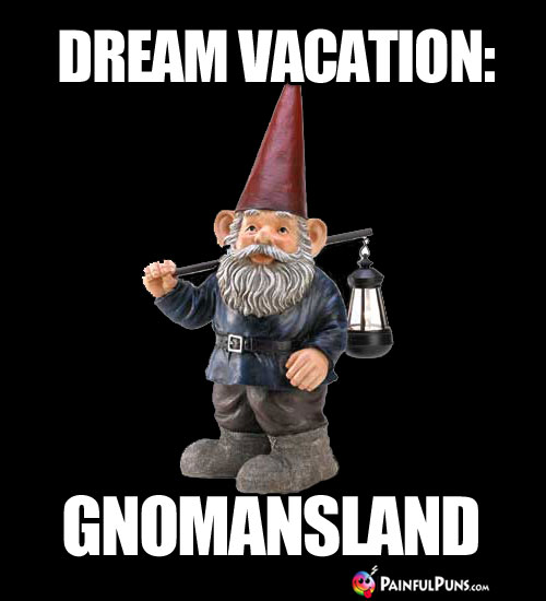 Dream Vacation: Gnomansland