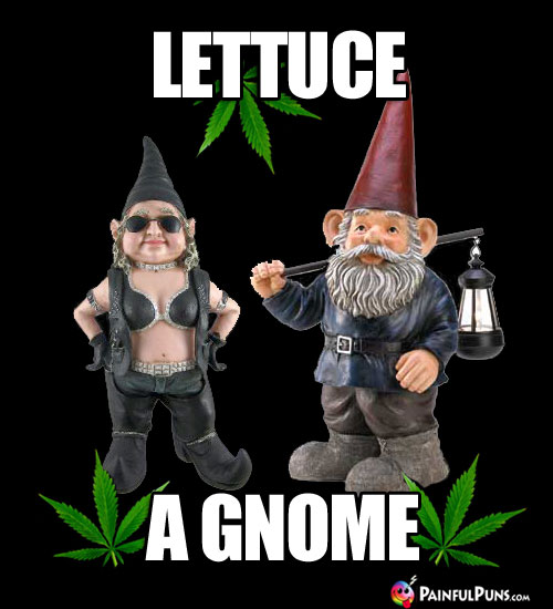 Garden Gnomes in Pot Leaves: Lettuce a Gnome