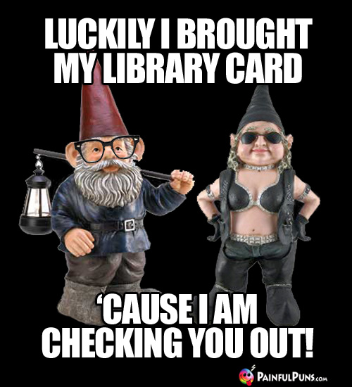 Luckily I brought my library card 'cause I am checking you out!