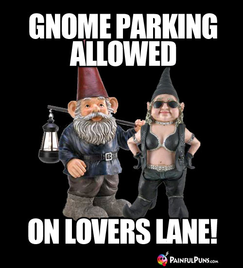 Gnome Parking Allowed on Lovers Lane!