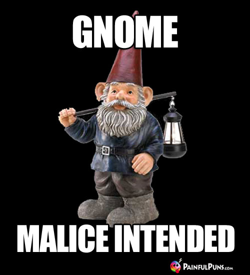 Gnome Malice Intended