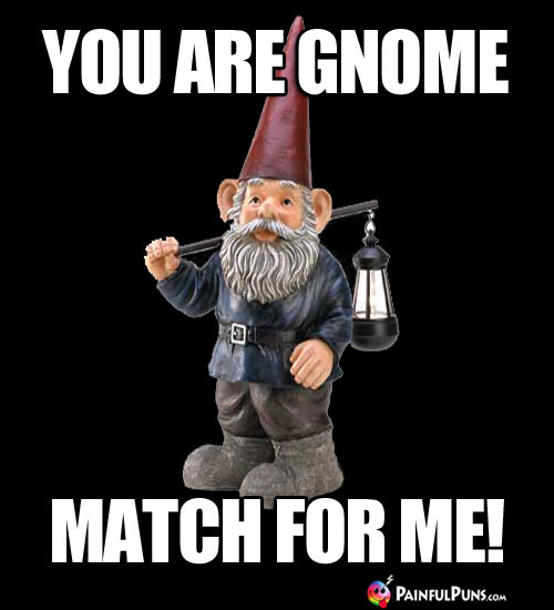 You are gnome match for me!