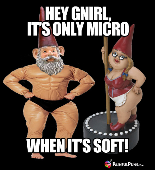 Hey Gnirl, it's only Micro when it's Soft!