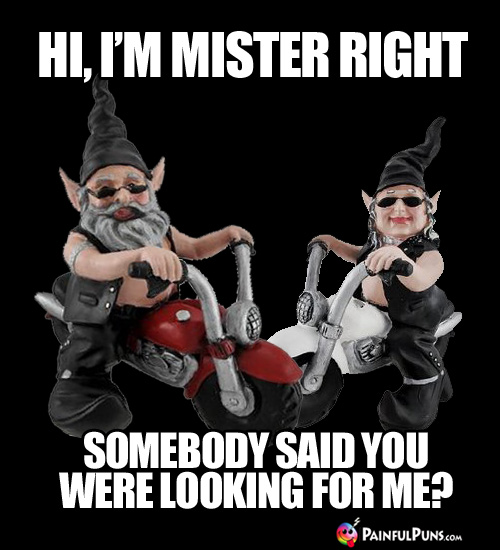 Hi, I'm Mister Right. Somebody said you were looking for me?