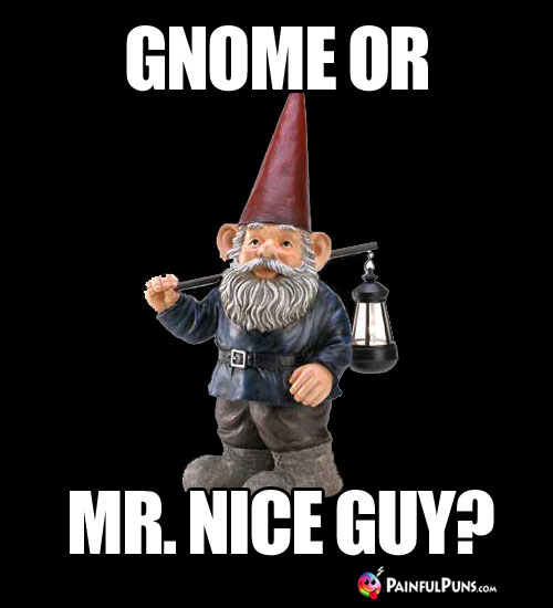 Gnome or Mr. Nice Guy?