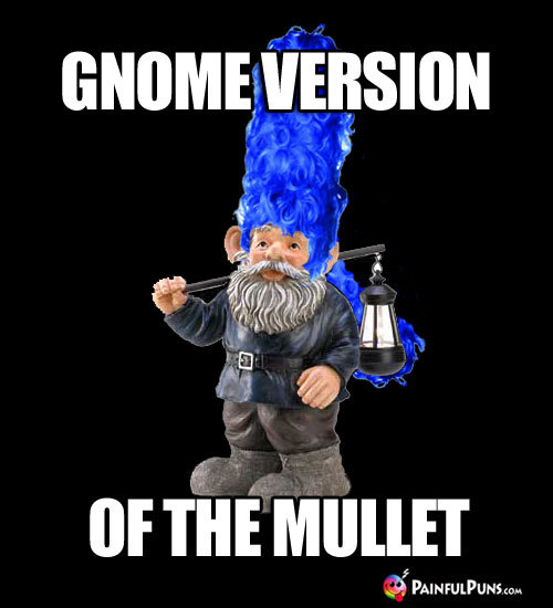 Gnome Version of the Mullet